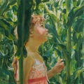 Green forest of corn