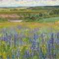 The lilac meadow