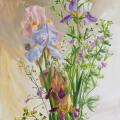 Graceful irises