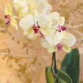 Жёлтая орхидея